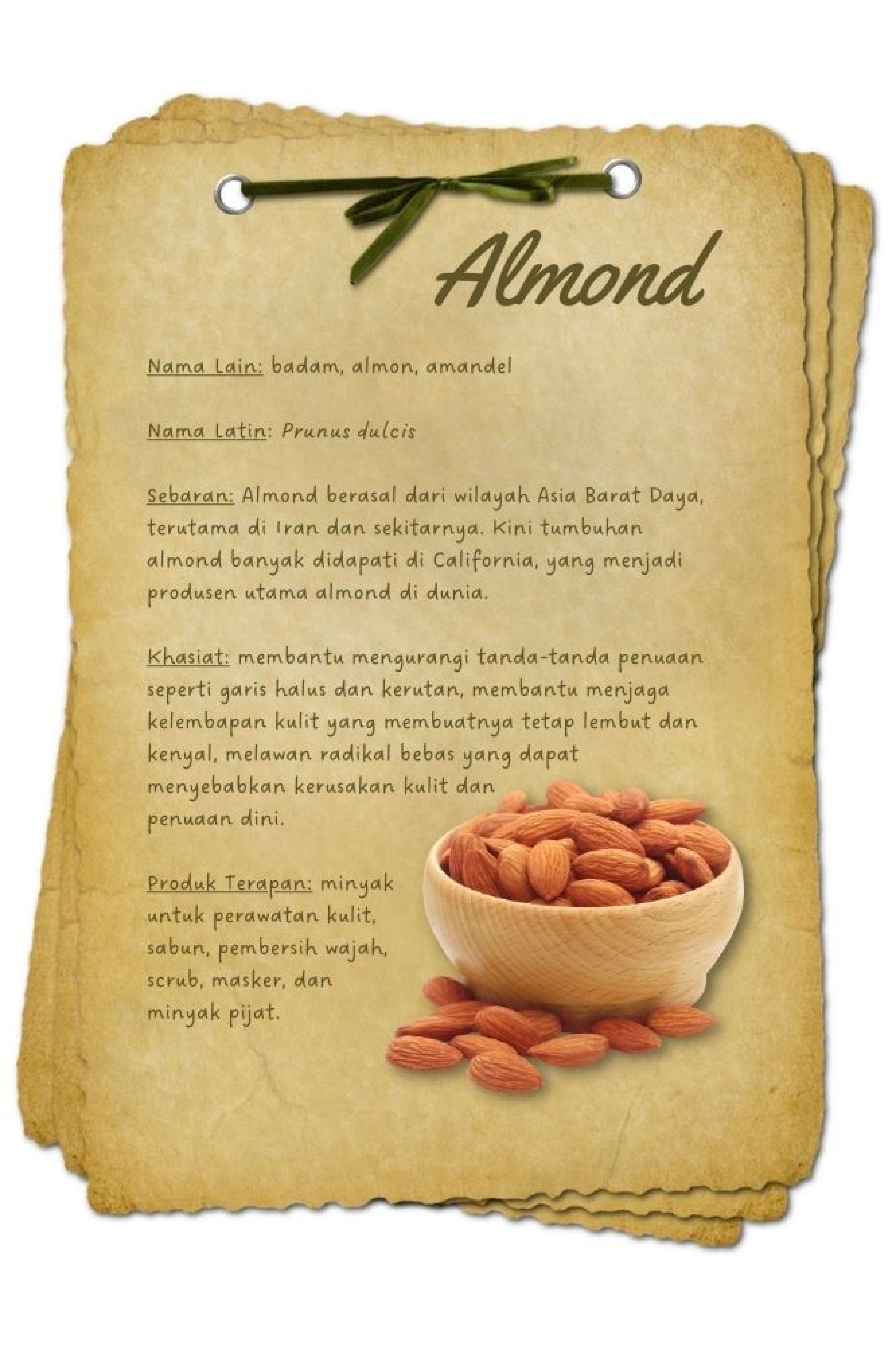 BAHAN AKTIF kacang almond - Beautyversity.jpg